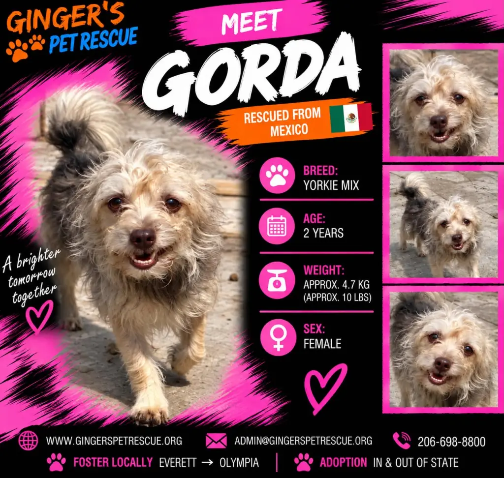 Gorda From Mexico