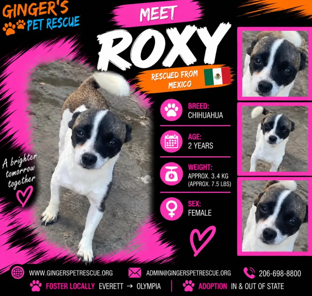 Roxy From Mexico
