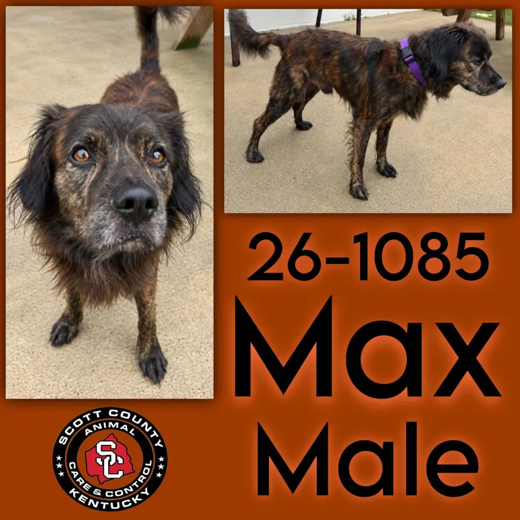 Max