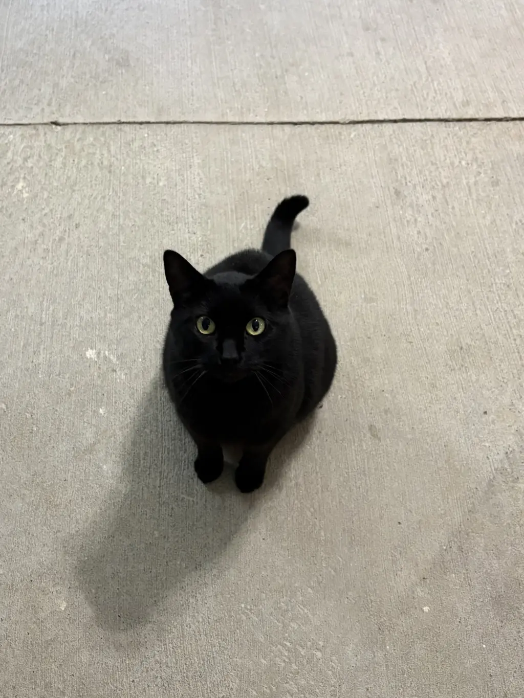 Jett