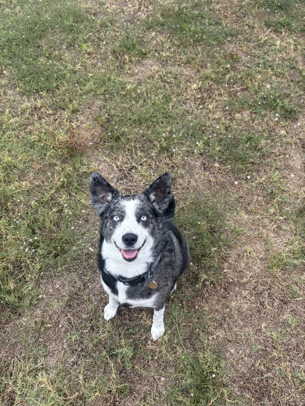 Skylar