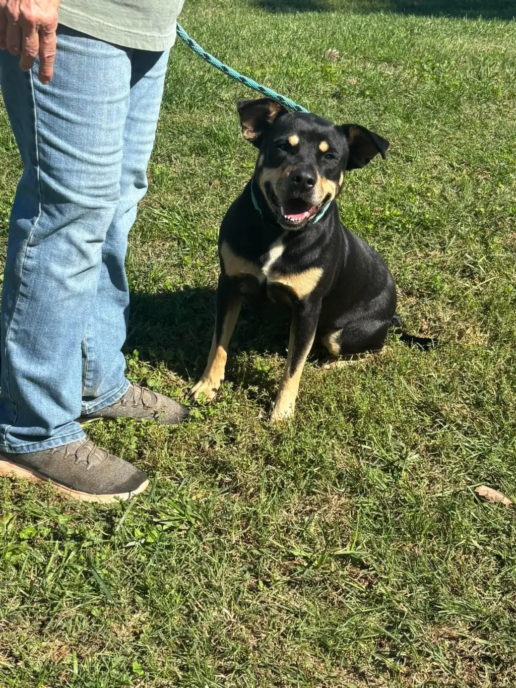 Annie - At shelter