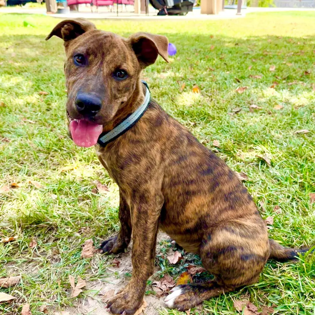 Zoey- total package