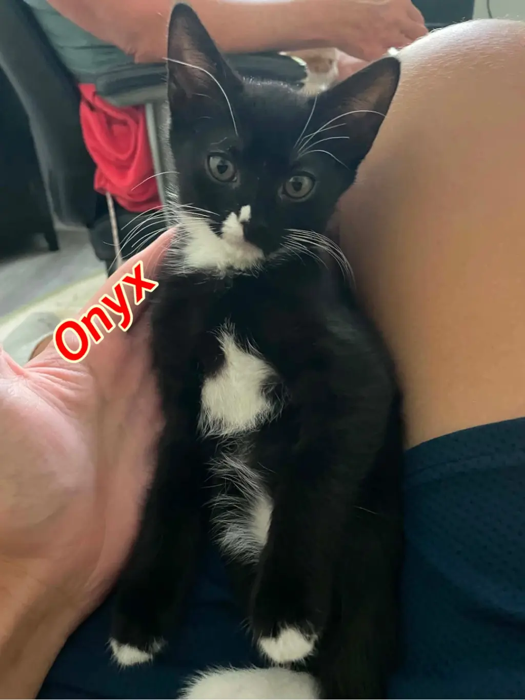 Onyx