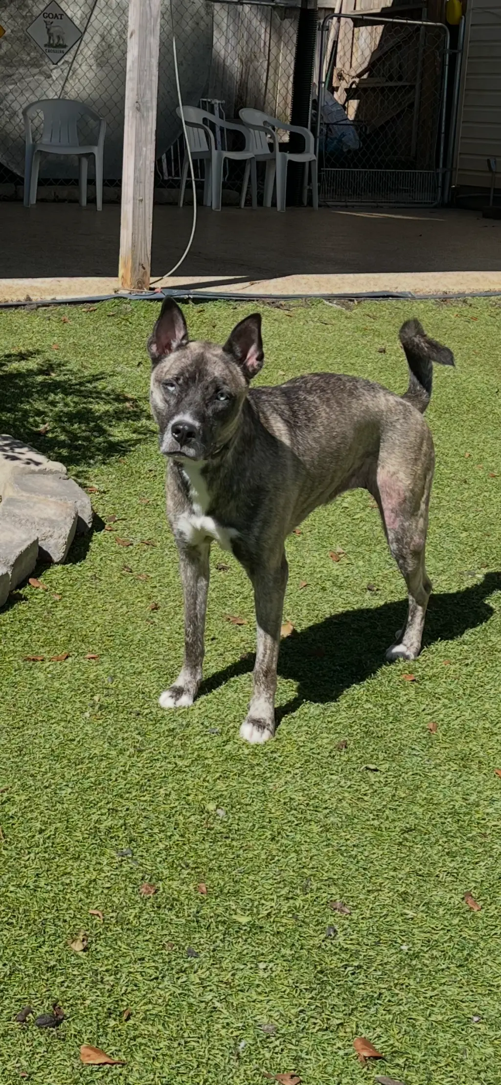 Josie