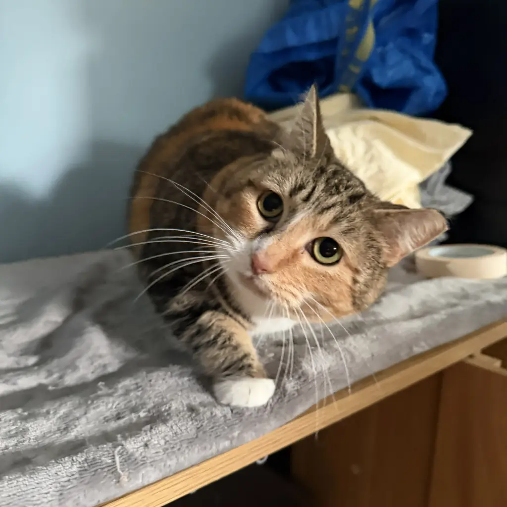 Ruthie (unique and so affectionate)
