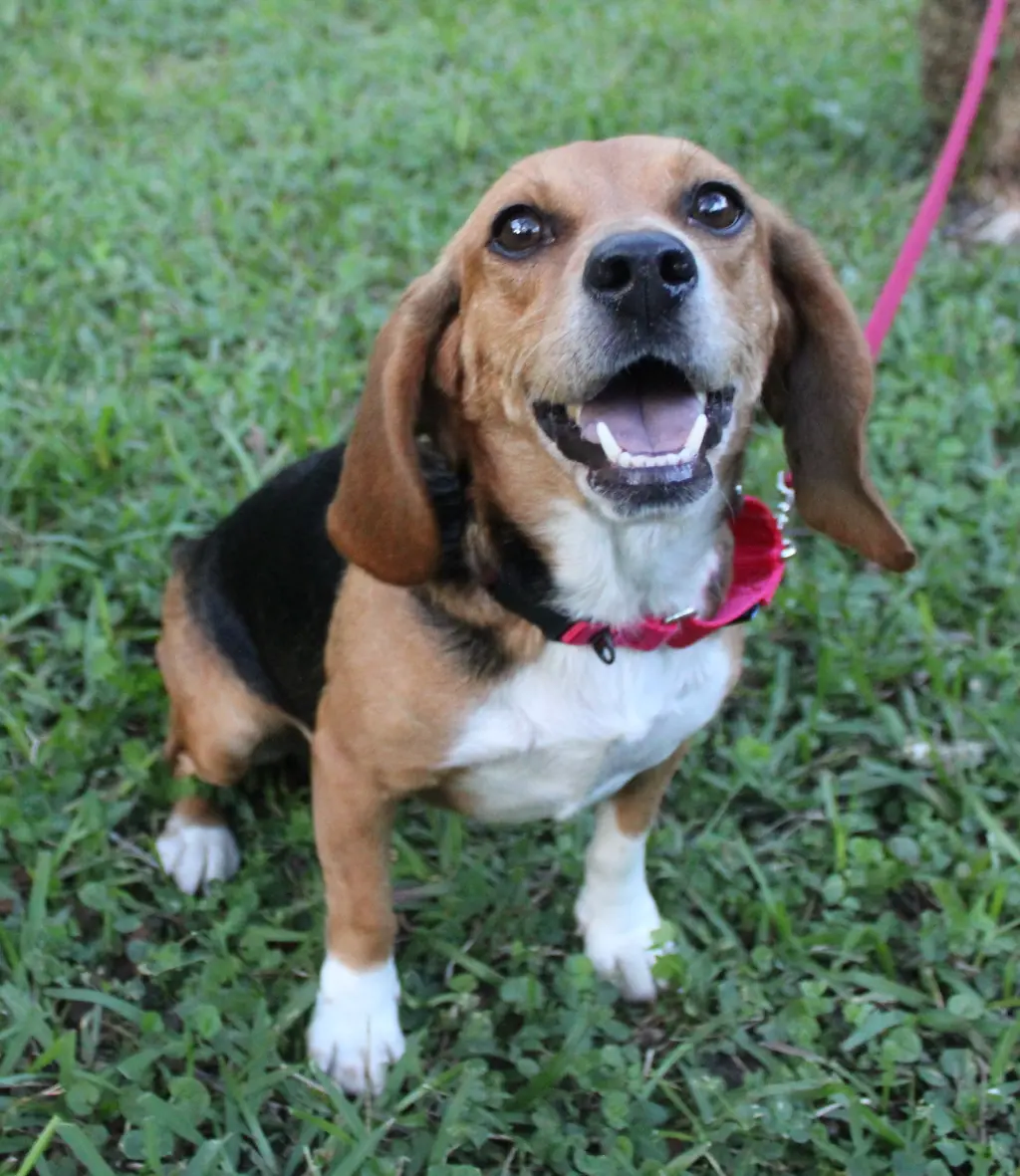 Sundae aka Sunni