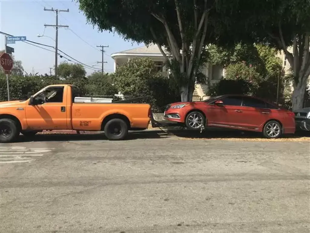 Bunny towing service