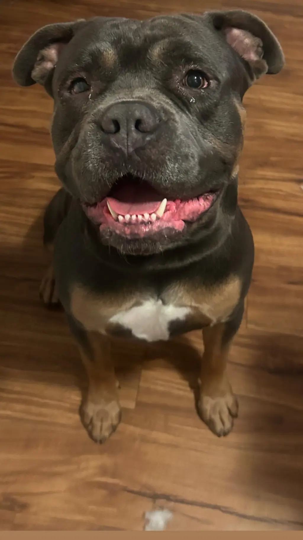 Zeus