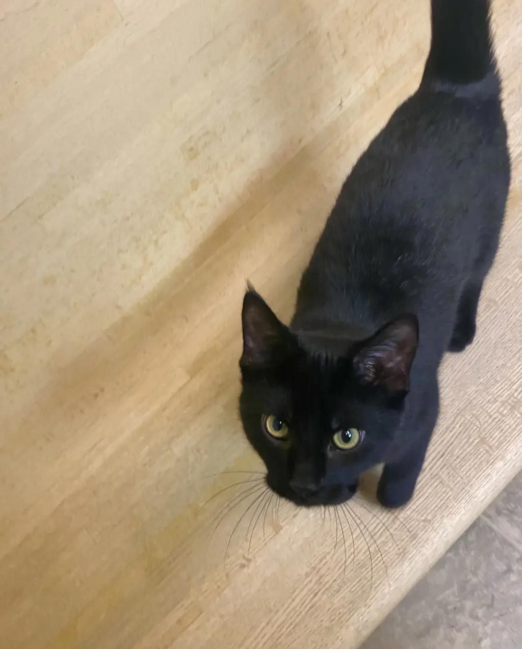 Luna