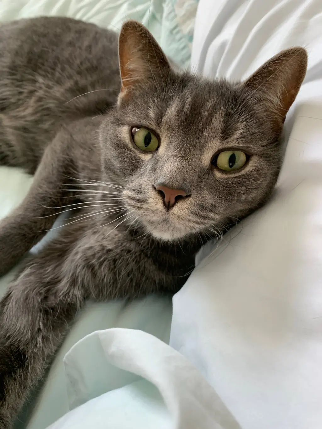 Charlie