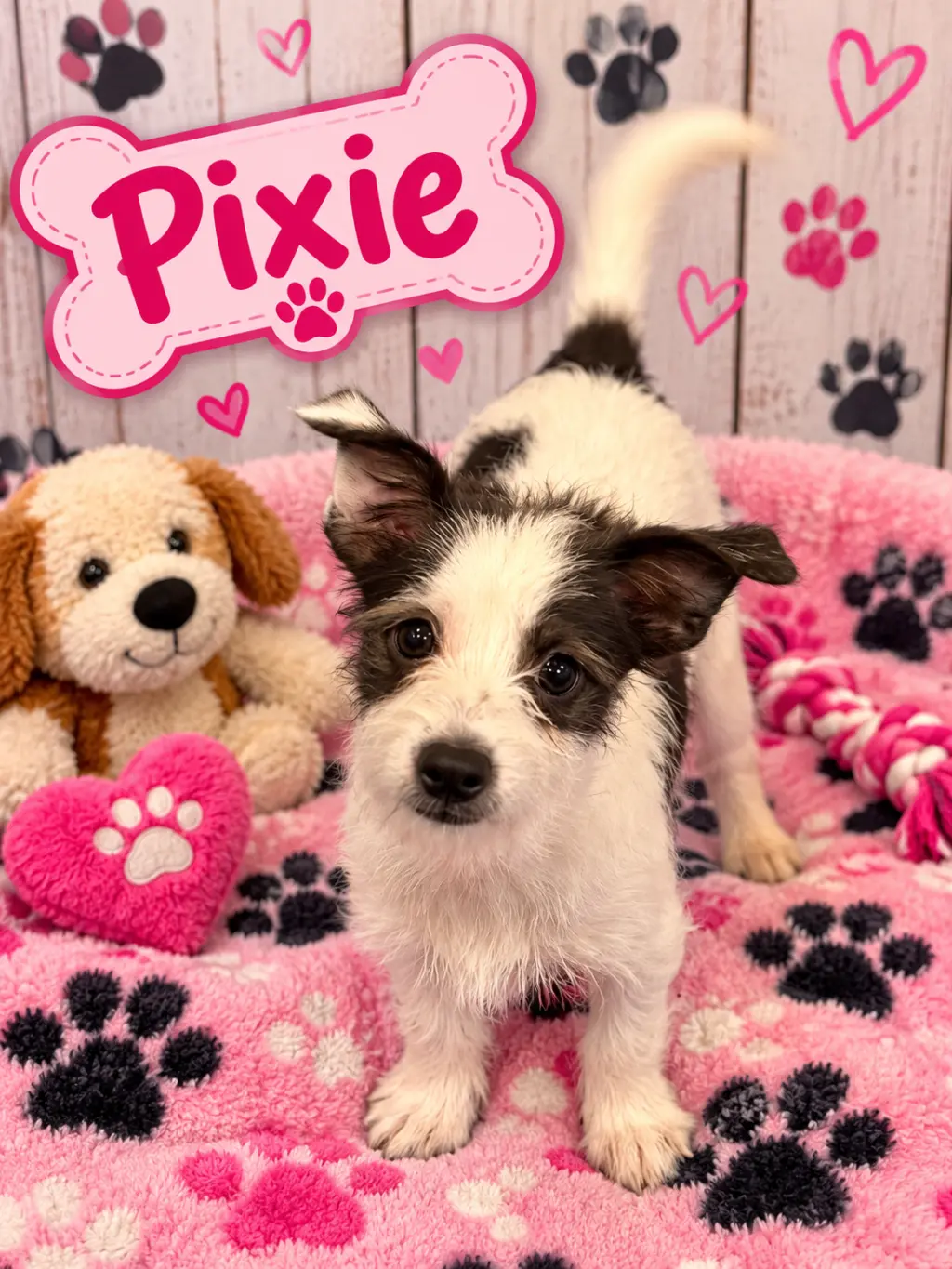 Pixie