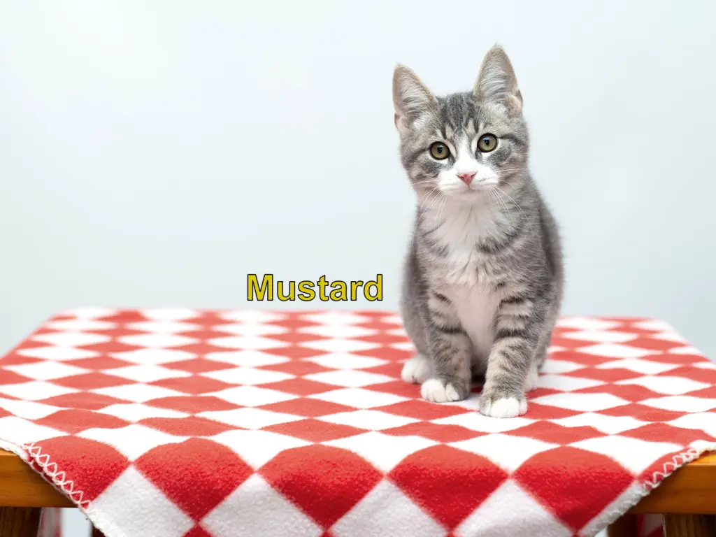 Mustard