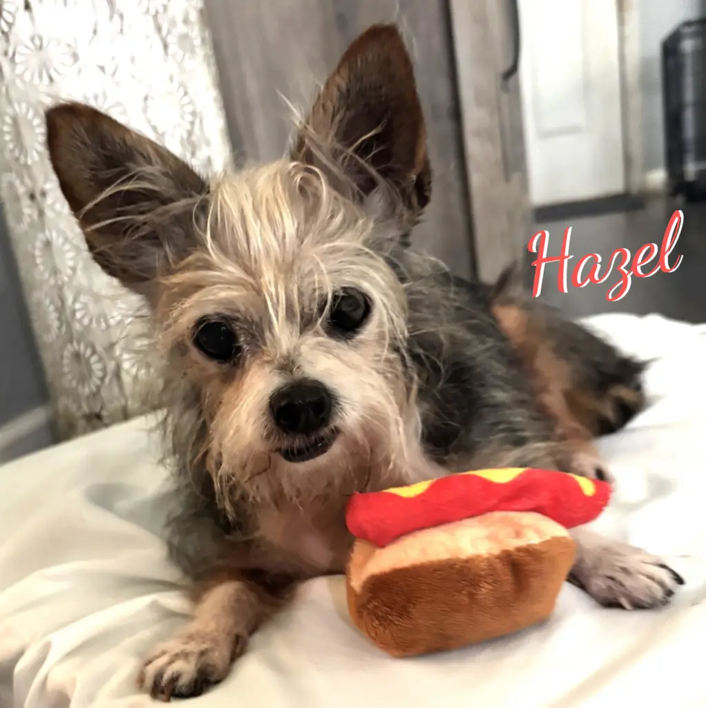 Hazel #spunky-lil-girl