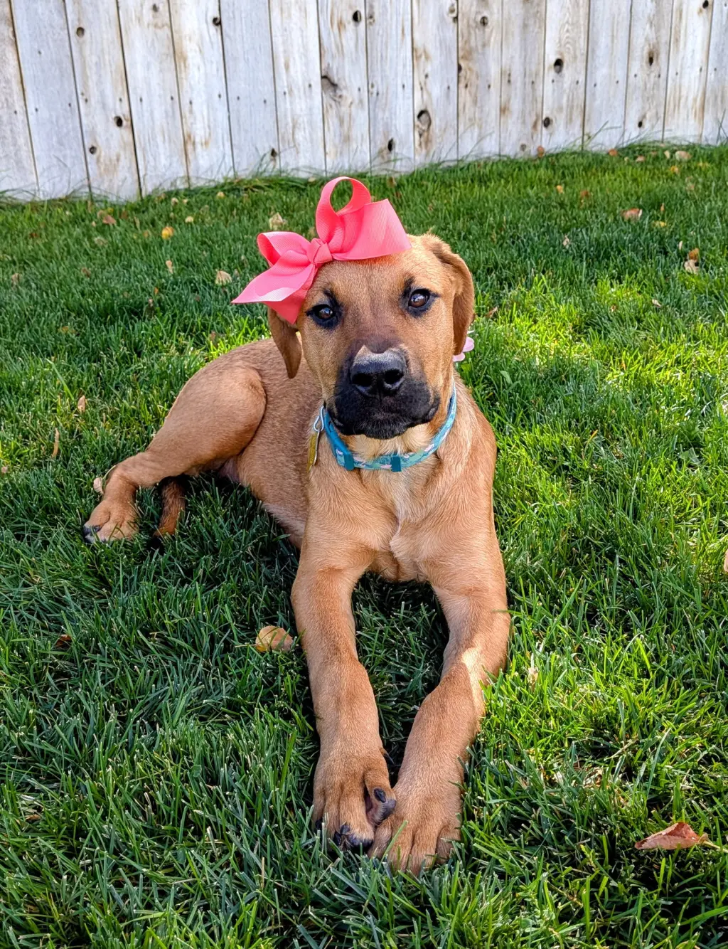 Artie Marie