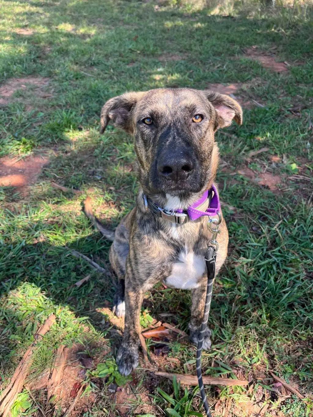 Wiley: At shelter