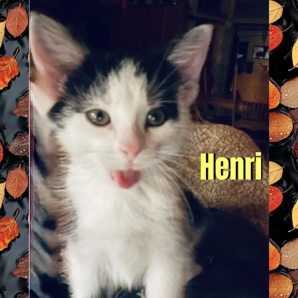 Henri