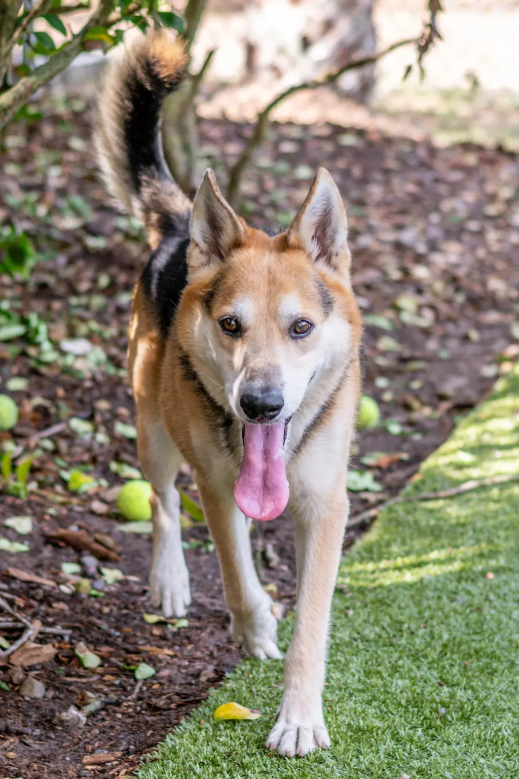 Max