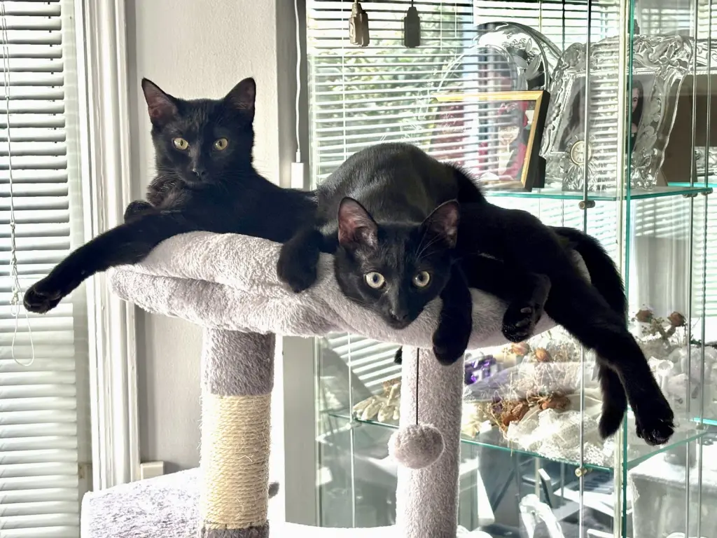 Vito & Zita