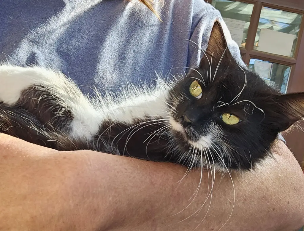 GIDGET #2024 - Offered by Owner -