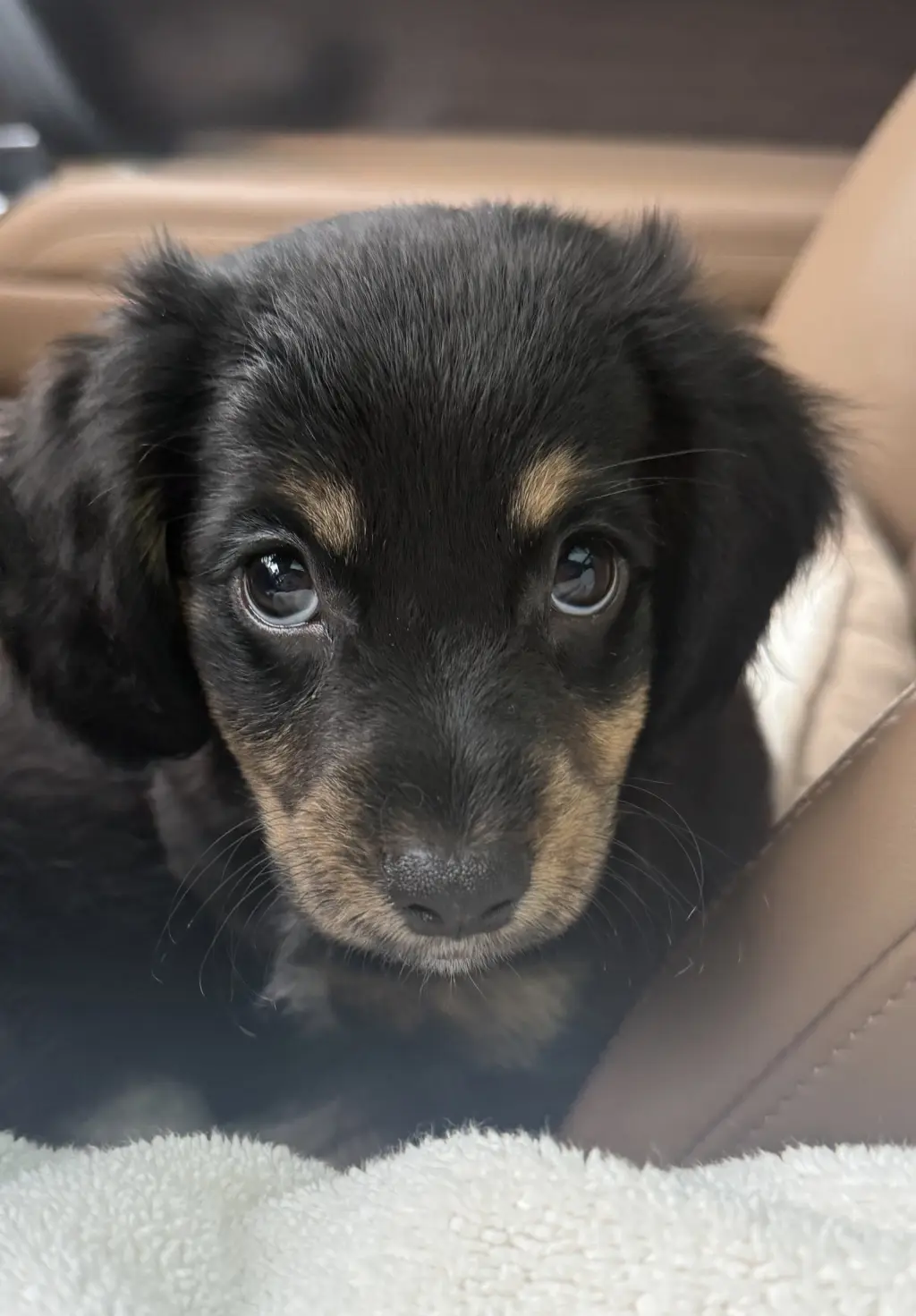 Tiffany