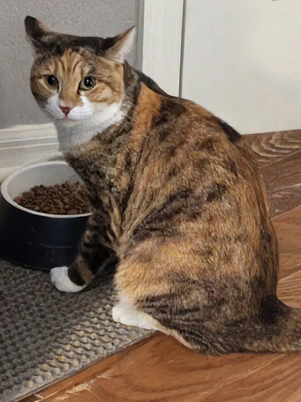 Lucy 11.22.23
