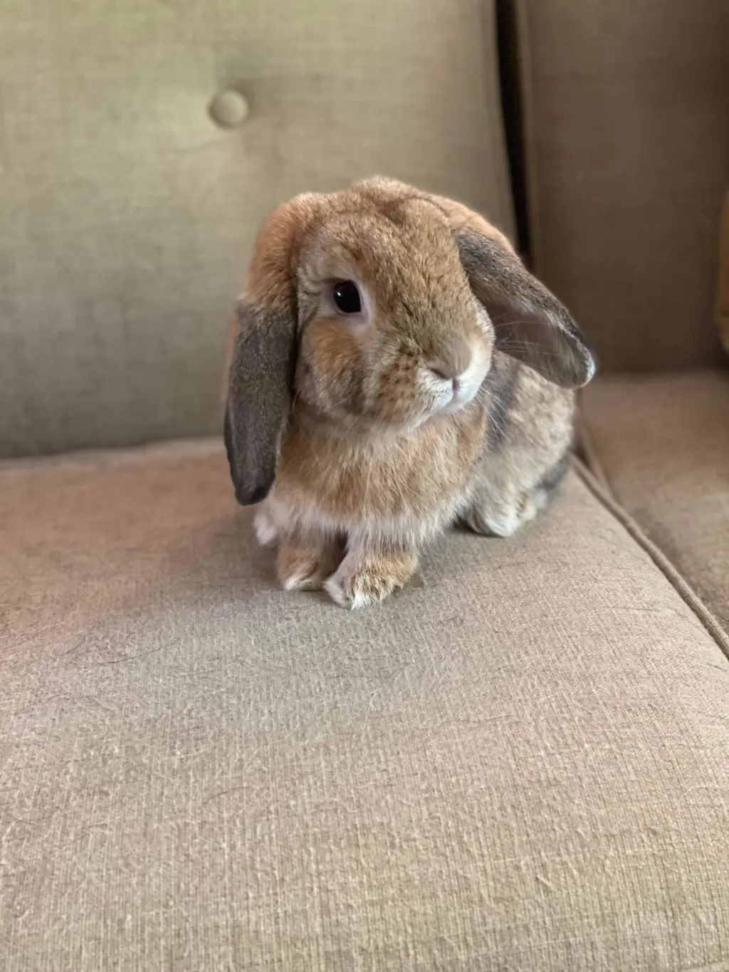 Reginald AKA "Regi"