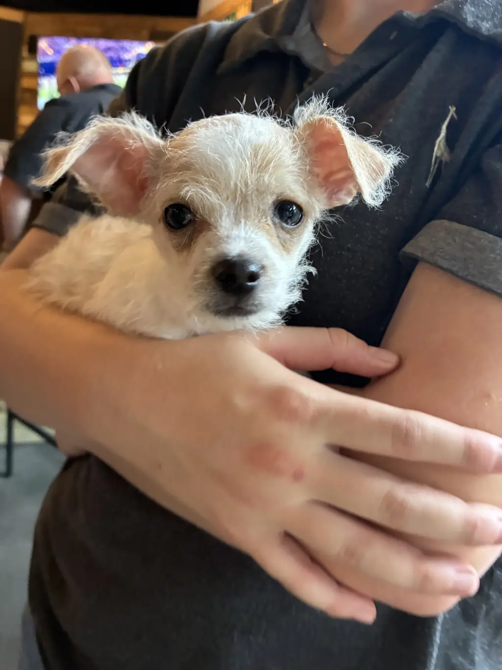 Opie