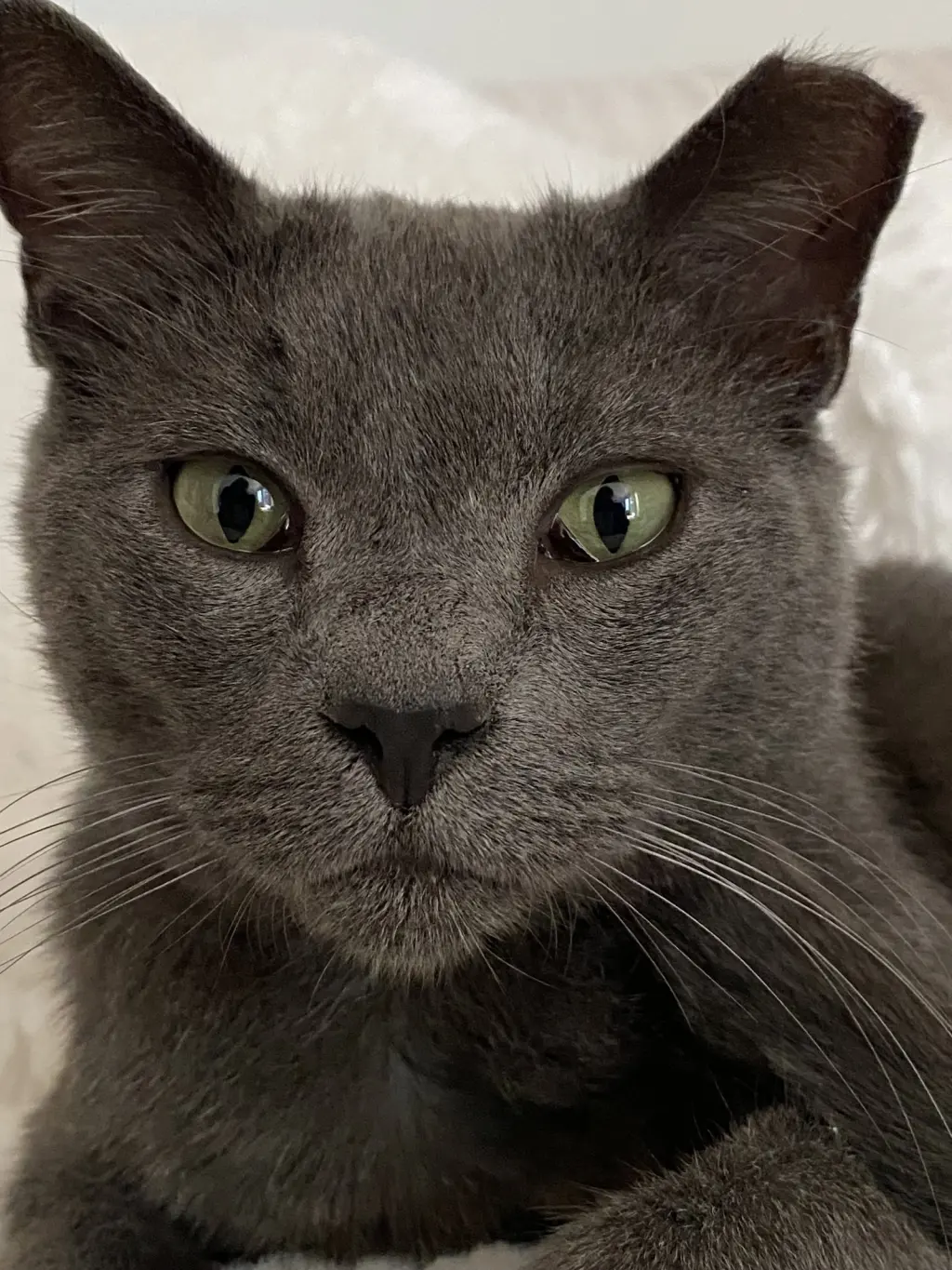 Romeo