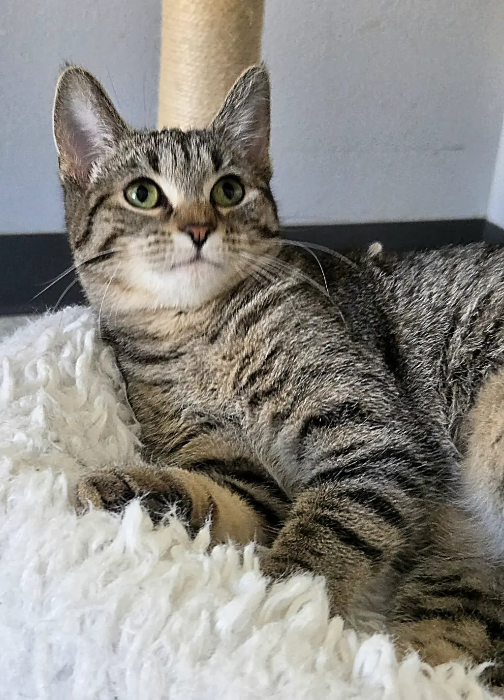Samantha