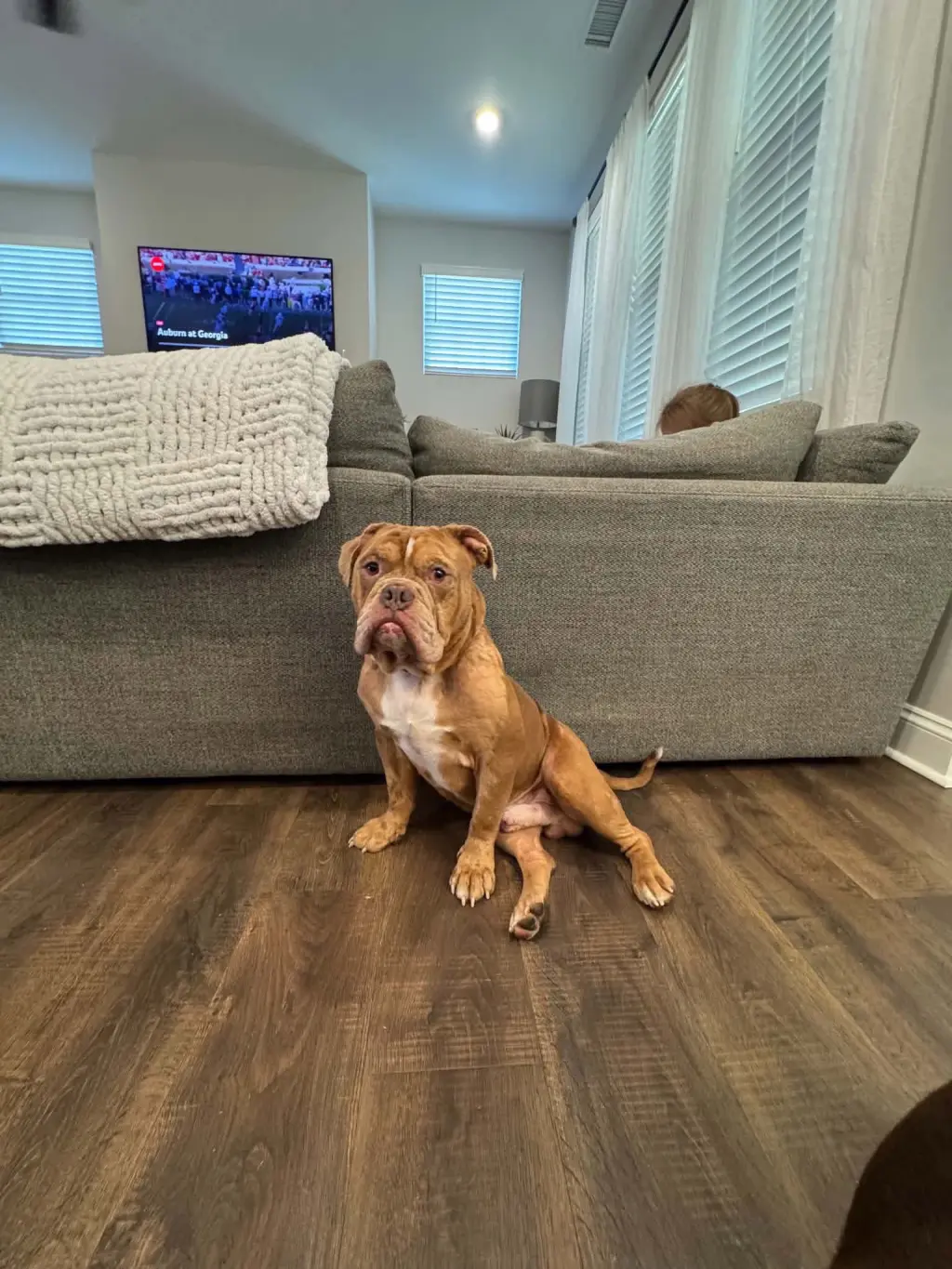 Bowser (previously known as GG)