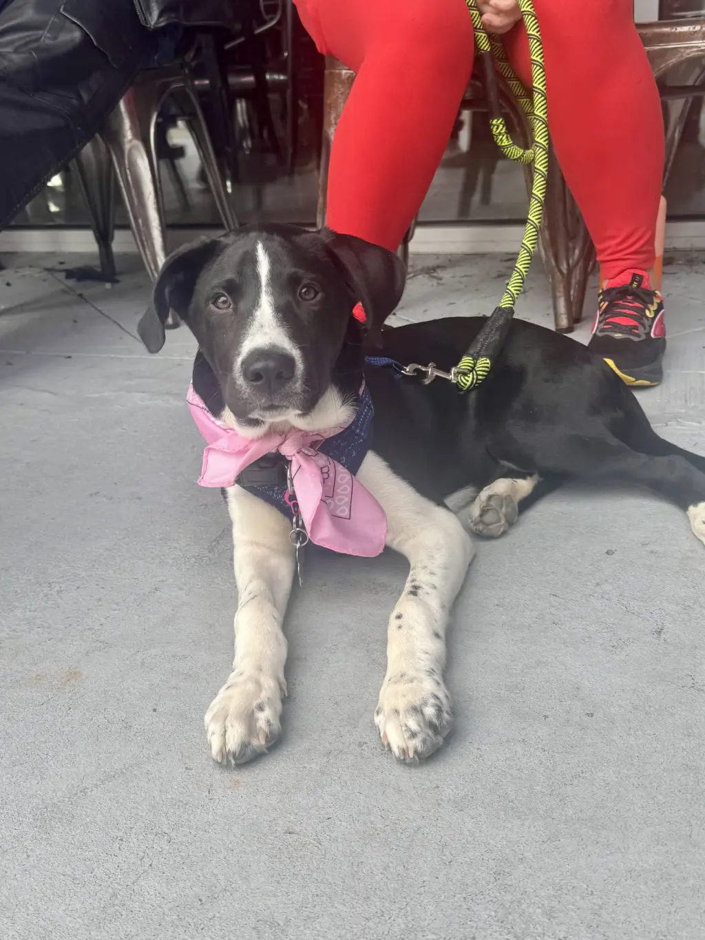 Roscoe