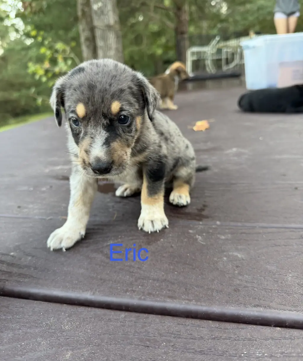 Eric