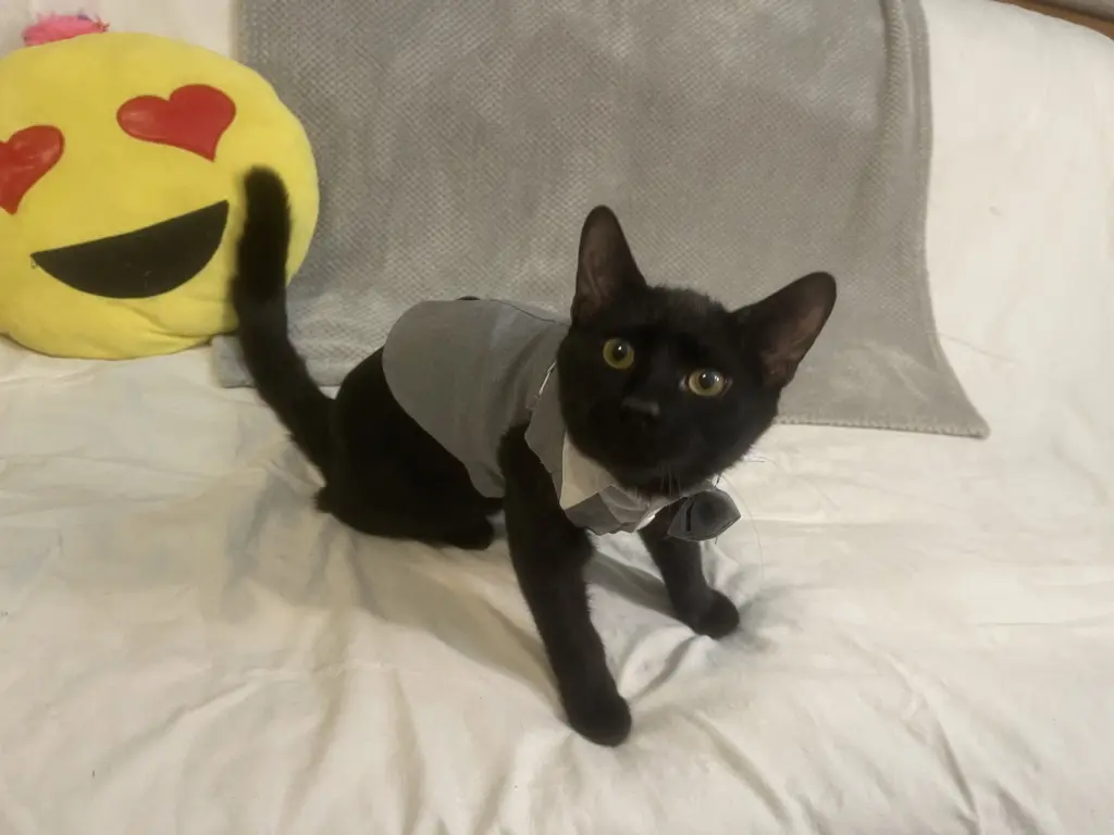 Jinx