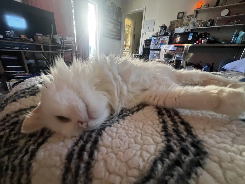 Delilah