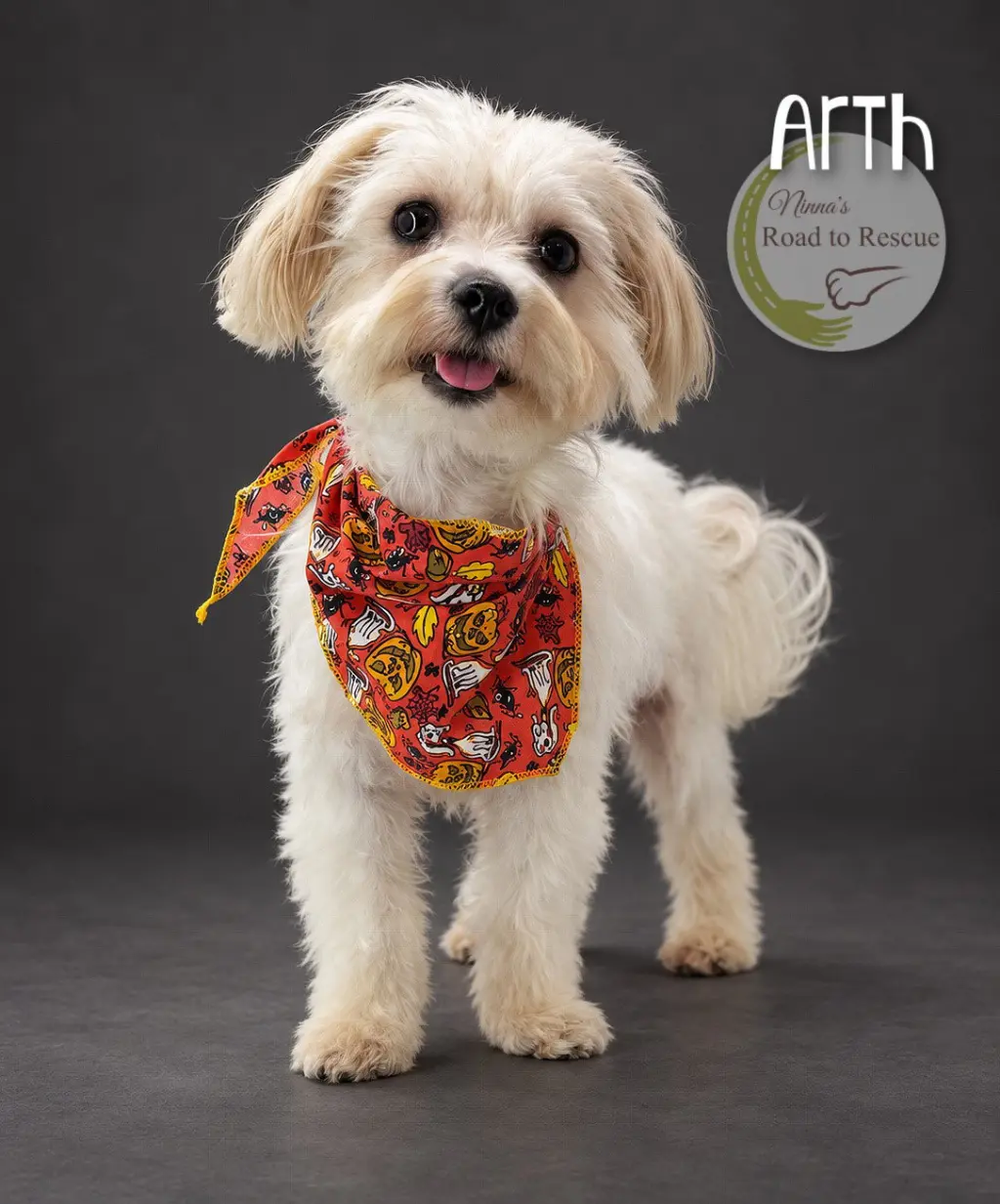 Arth