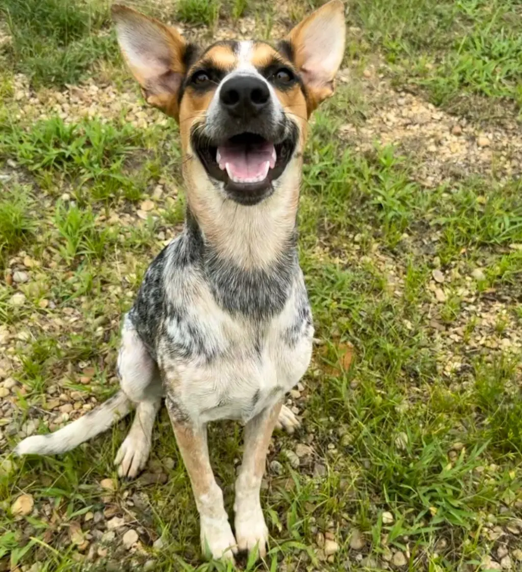 Lucy- ready for fun