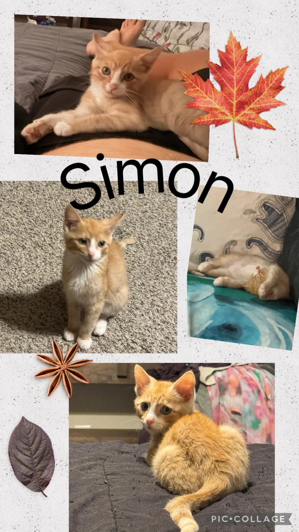 SIMON