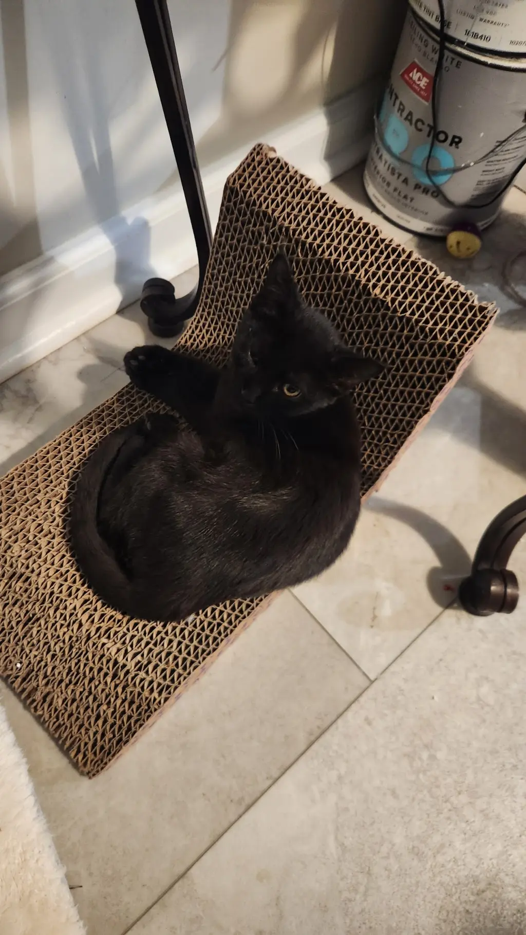Luna