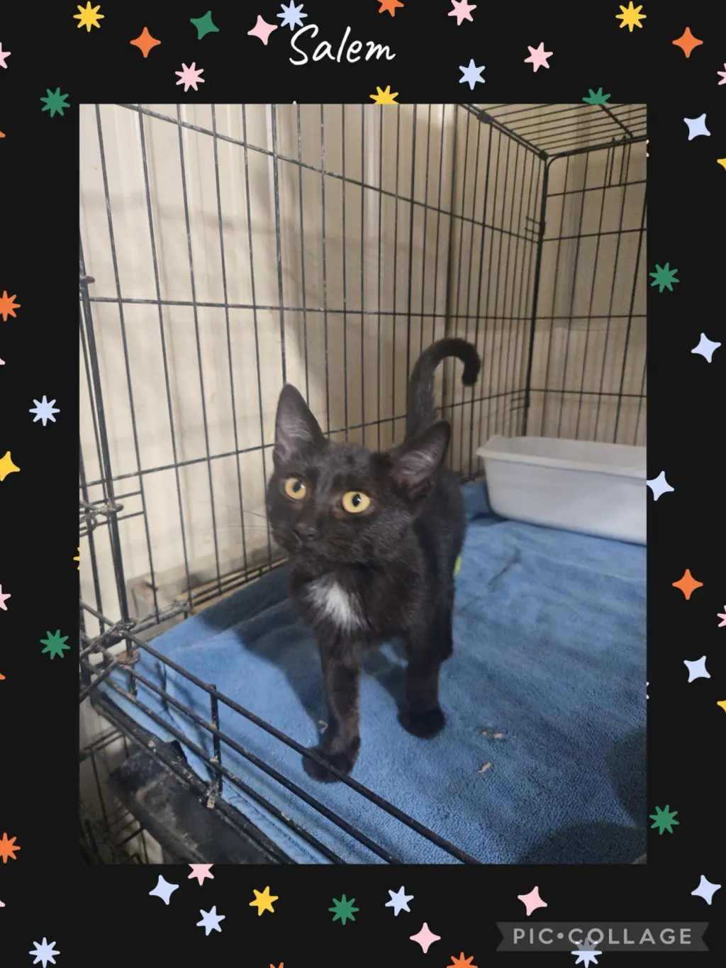 Salem