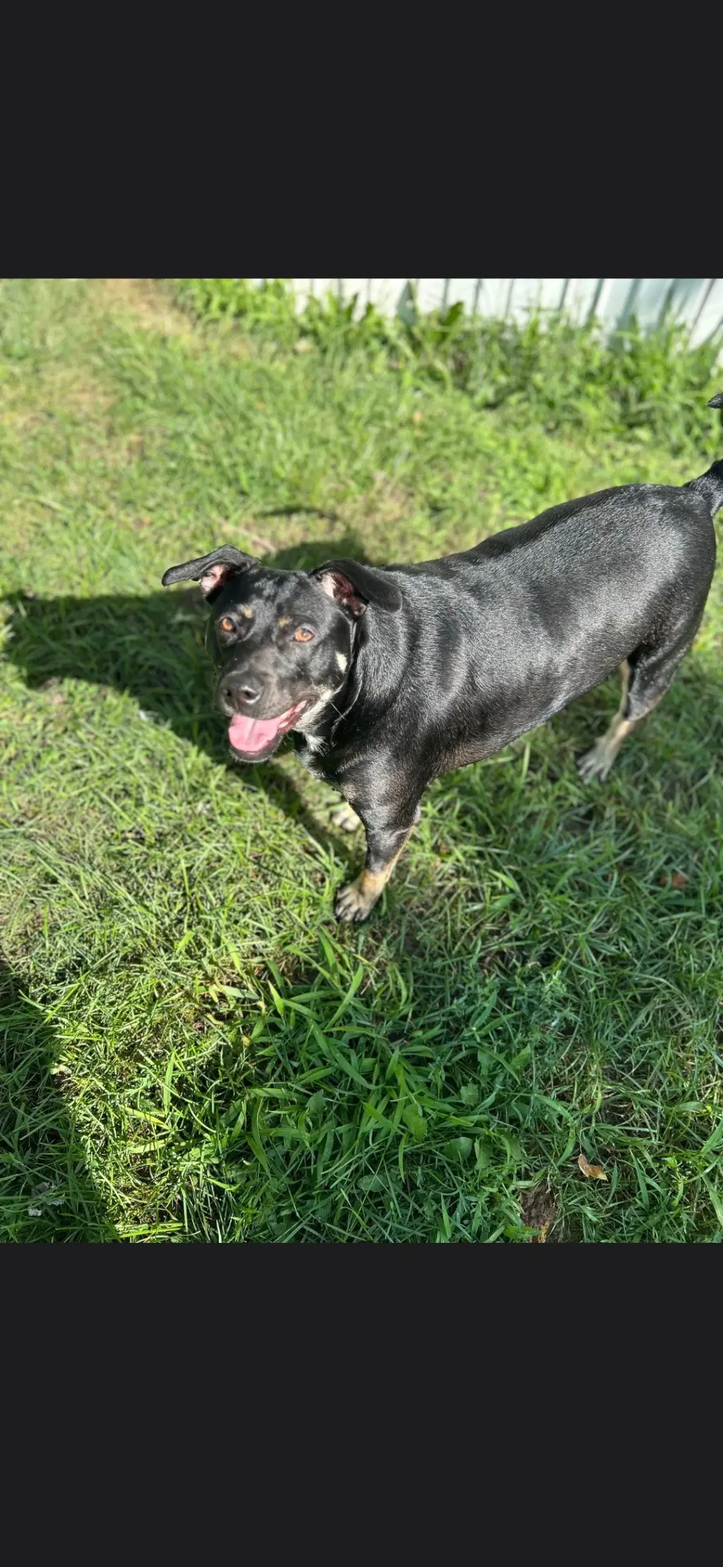 Duke