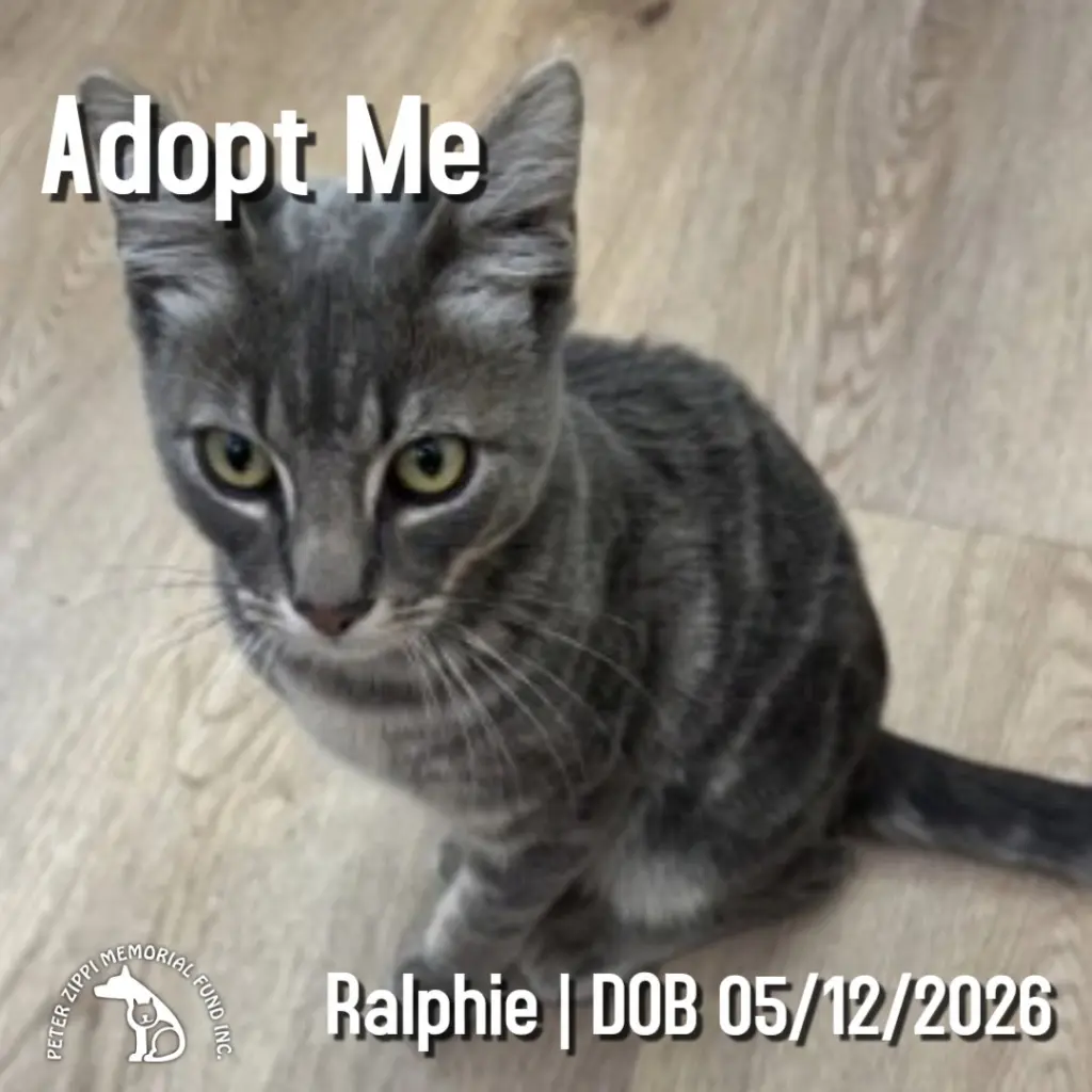 Ralphie