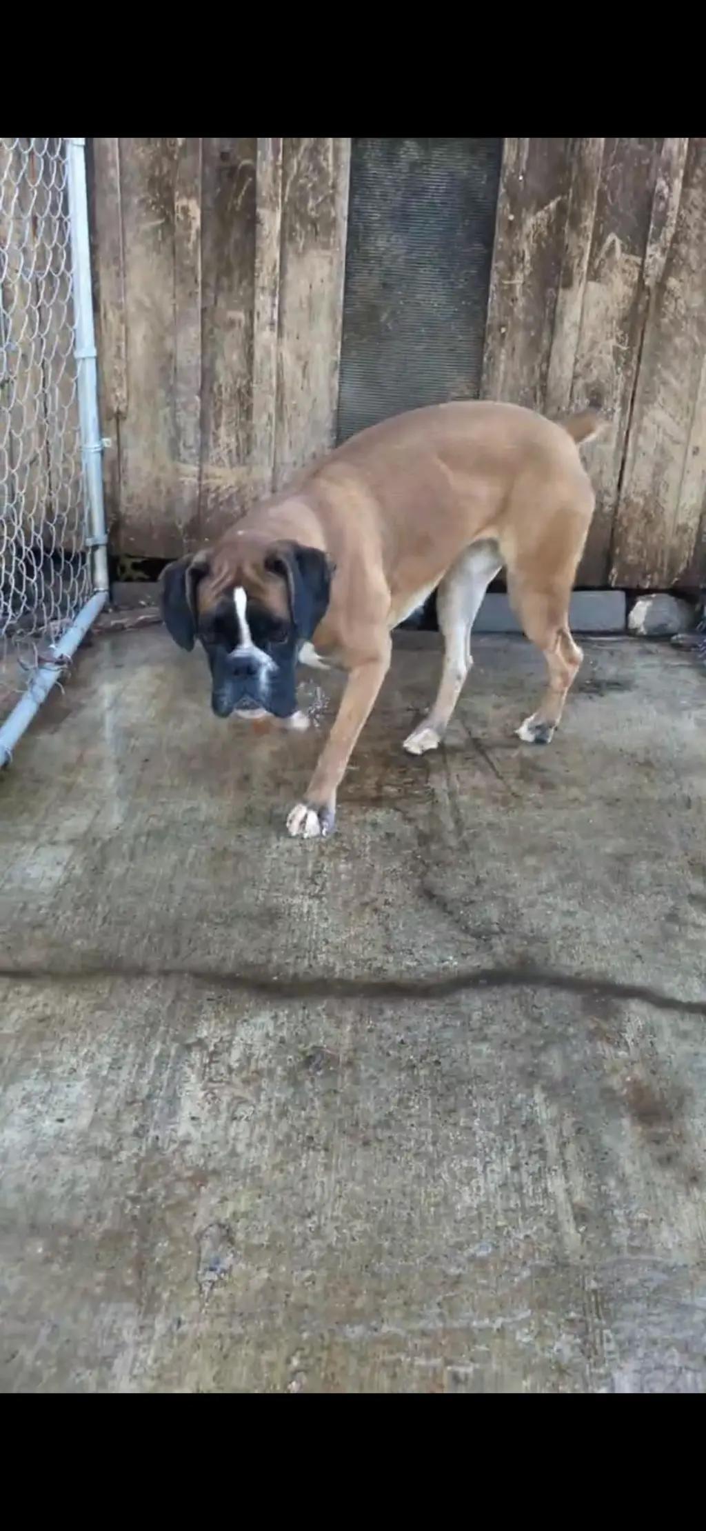 Salt: Not at the shelter