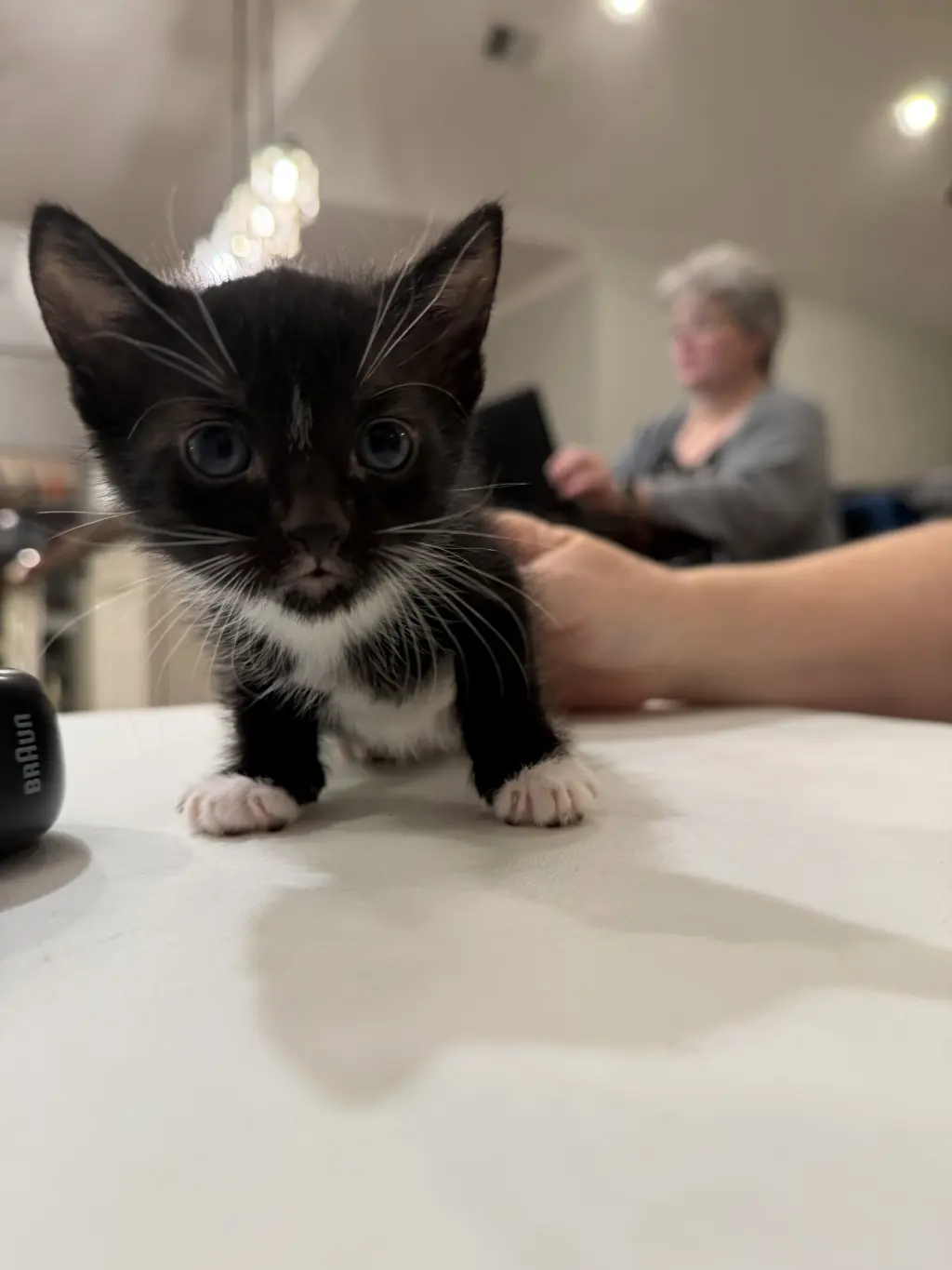 Carmen Lopez (Available for pre-adoption)