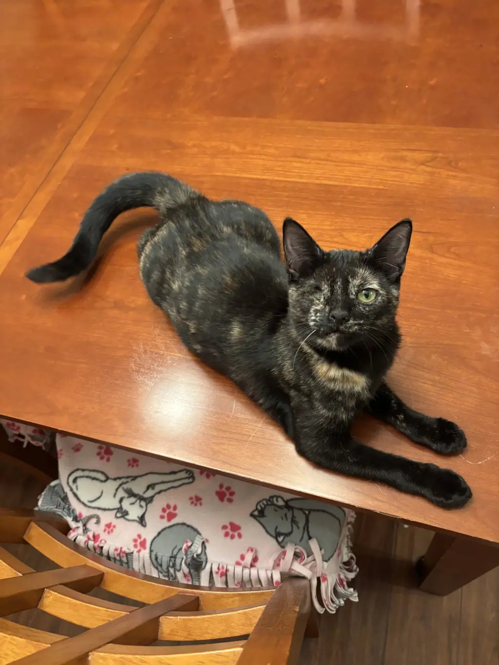 Winkerbelle