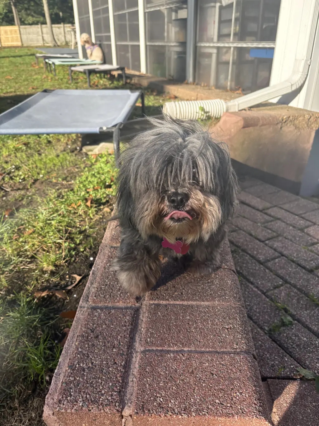 Bella