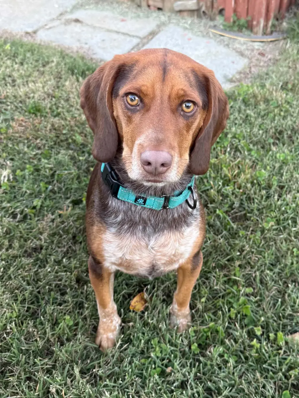 Gunner