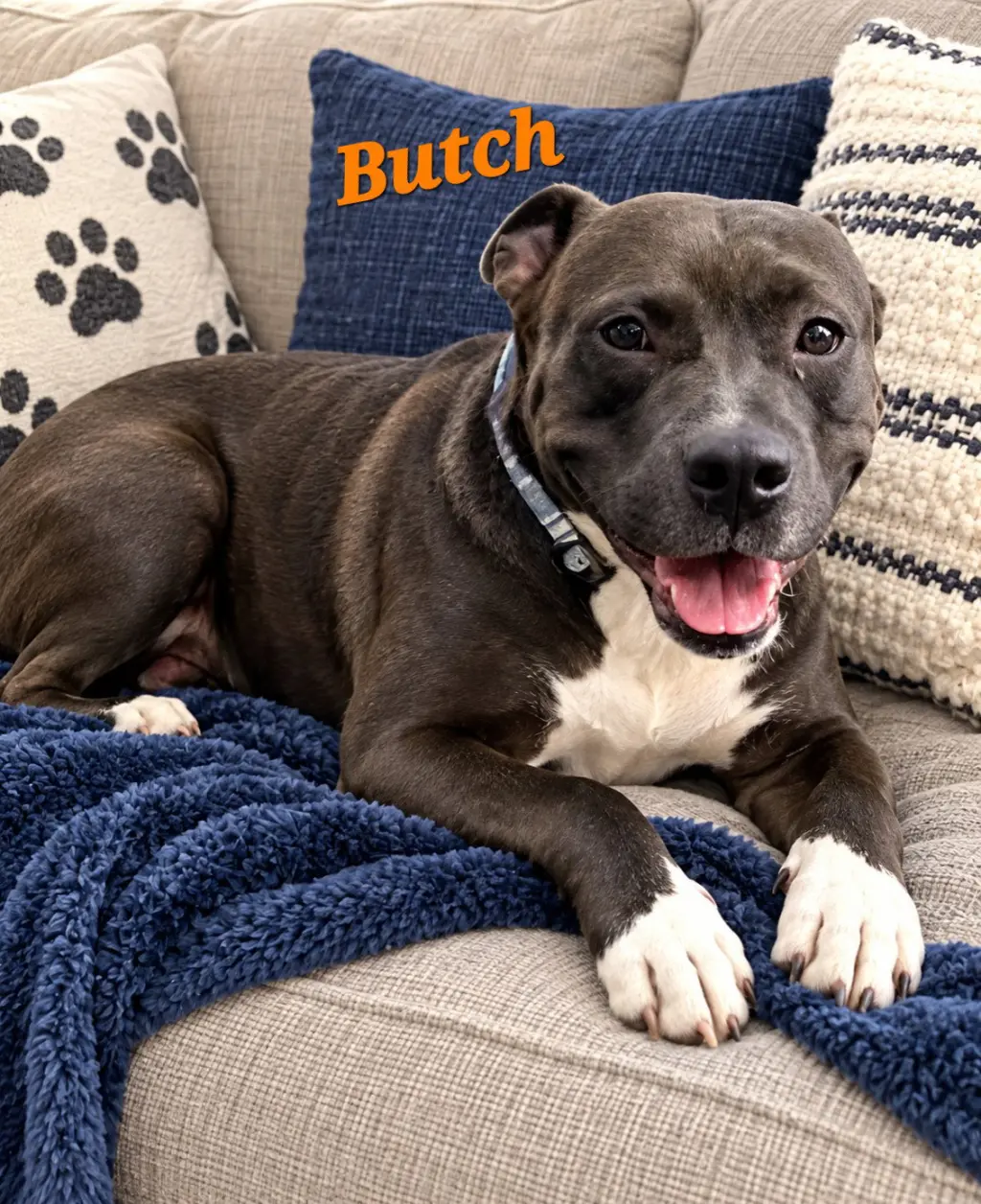 Butch
