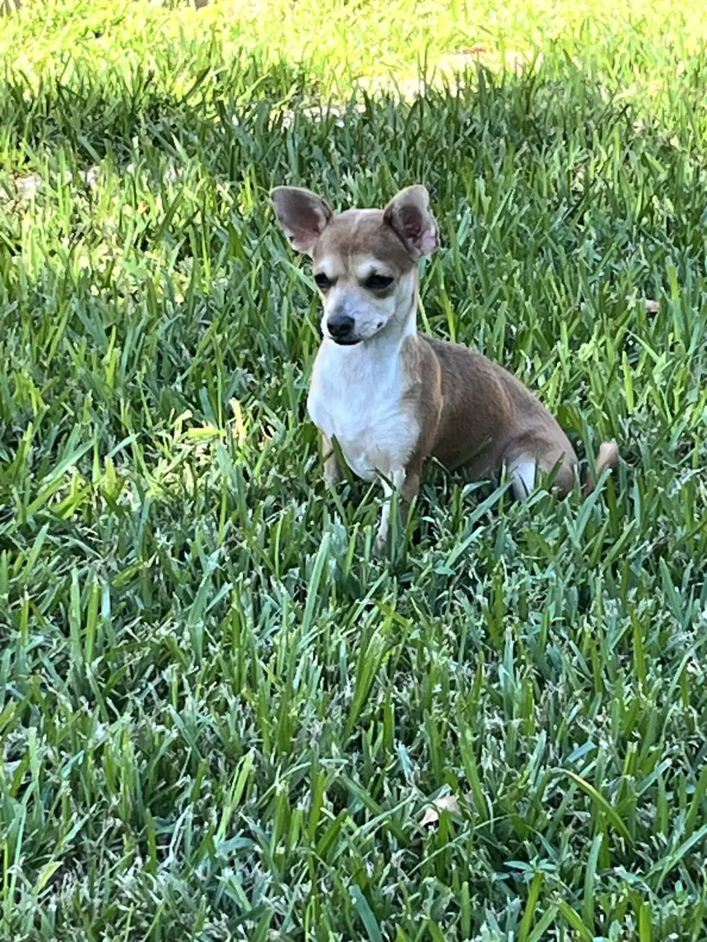 Ruby