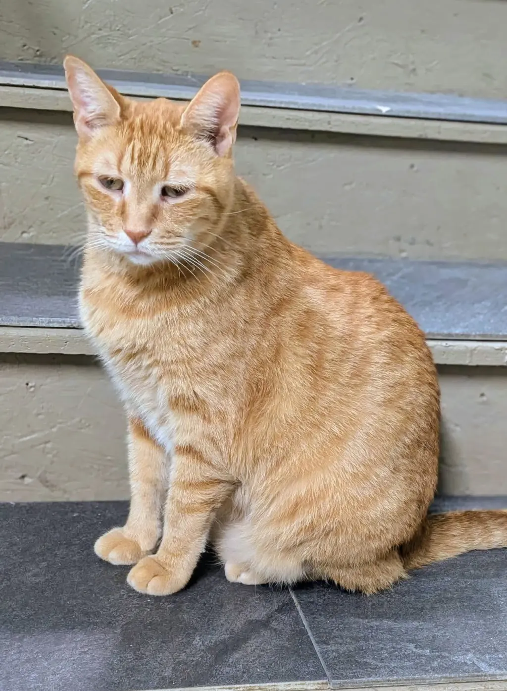 Jeff